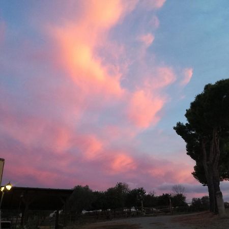 Agriturismo Fontelisa Βίλα Montiano  Εξωτερικό φωτογραφία