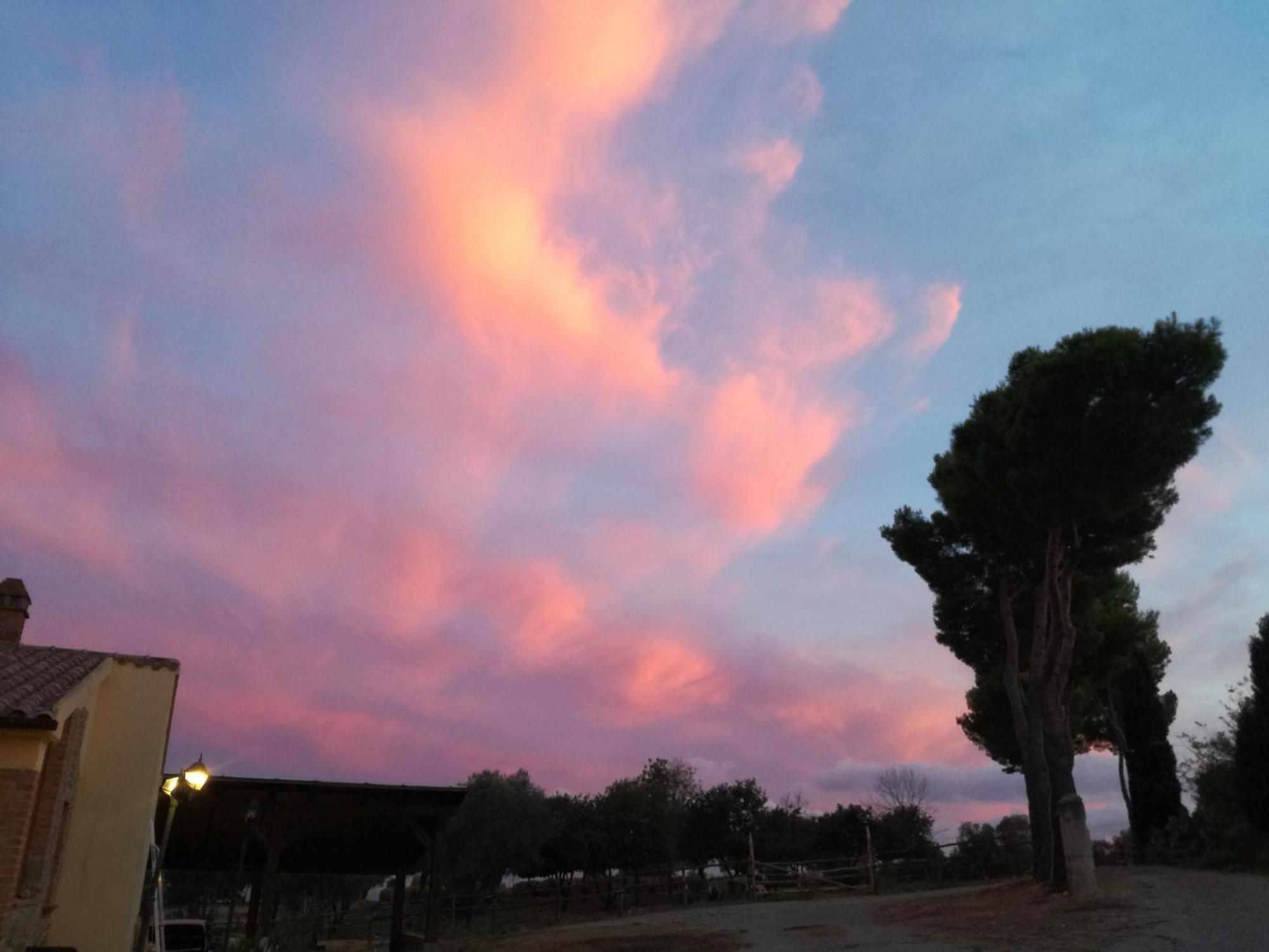 Agriturismo Fontelisa Βίλα Montiano  Εξωτερικό φωτογραφία